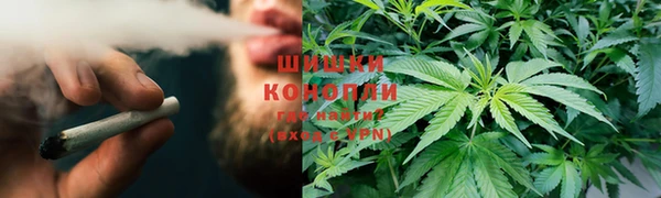 сатива Зеленокумск