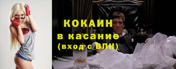 сатива Зеленокумск