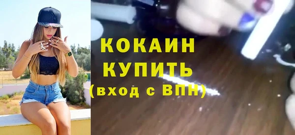 сатива Зеленокумск