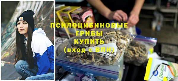 PSILOCYBIN Зерноград