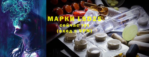 PSILOCYBIN Зерноград