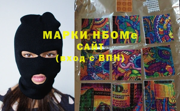 сатива Зеленокумск