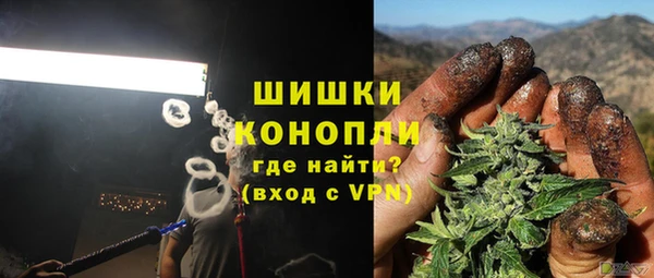 PSILOCYBIN Зерноград