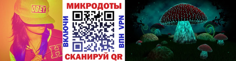 Псилоцибиновые грибы GOLDEN TEACHER  Купить закладки  Данилов 